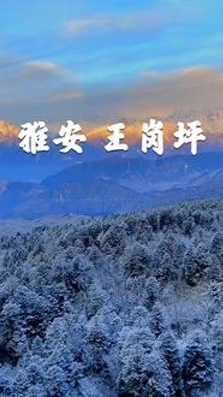 RMC:巴黎冬窗求购基米希被拜仁拒绝,今夏将继续进行尝试